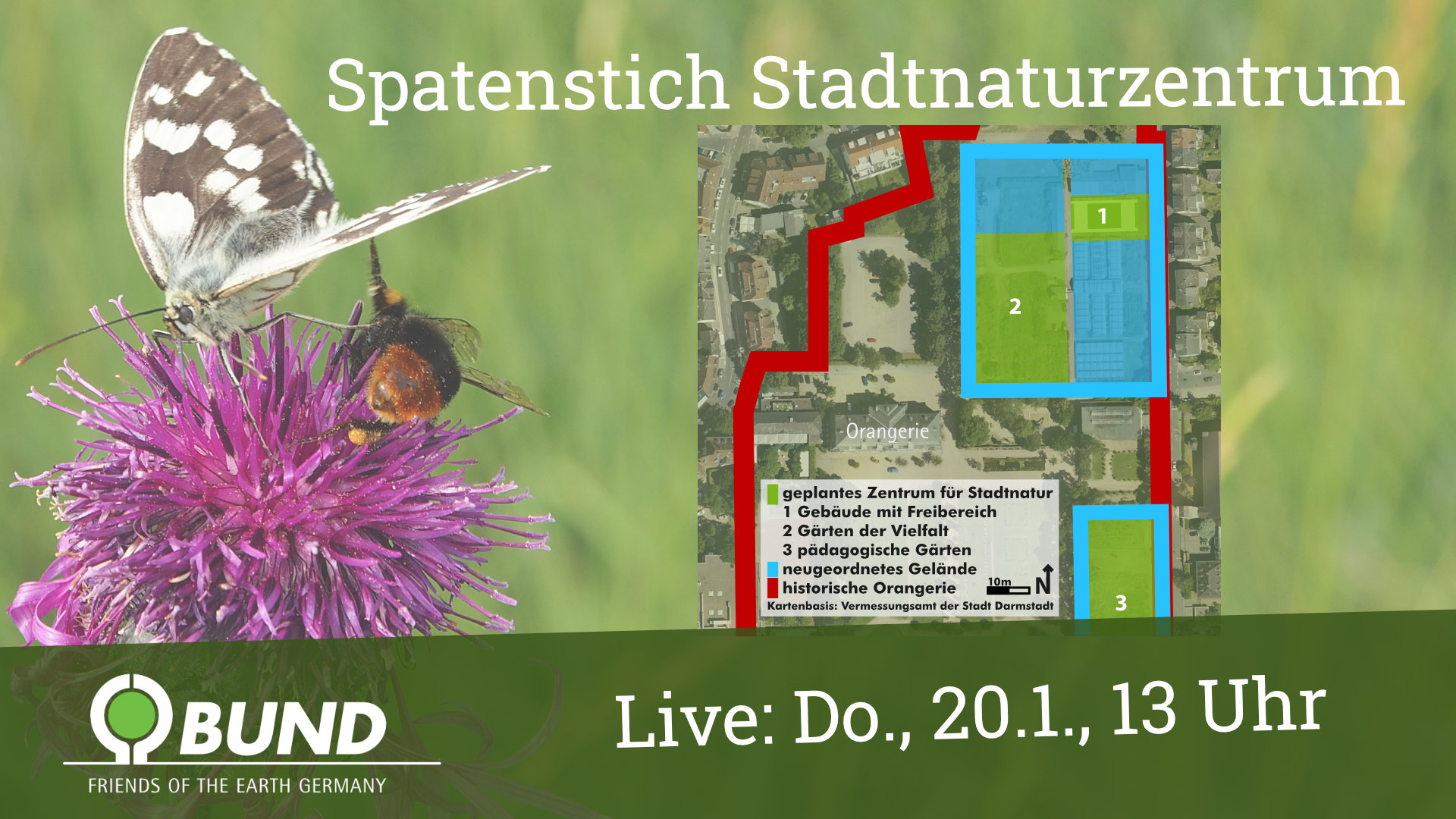 Luftbild Zentrum für Stadtnatur Darmstadt, Schachbrettfalter und Steinhummel an Flockenblume (Foto: Eva Distler)